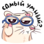 :sticker-vk-nutri-031: